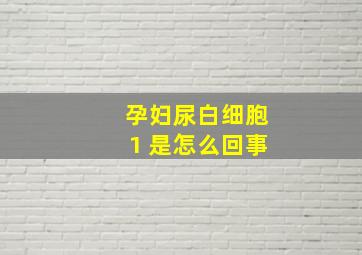 孕妇尿白细胞1 是怎么回事